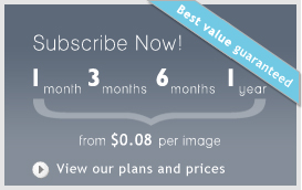 Plans & Prices: Stock Image Subscription