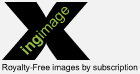 Royalty Free Images by Subscription