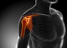 Healthcare & Medical